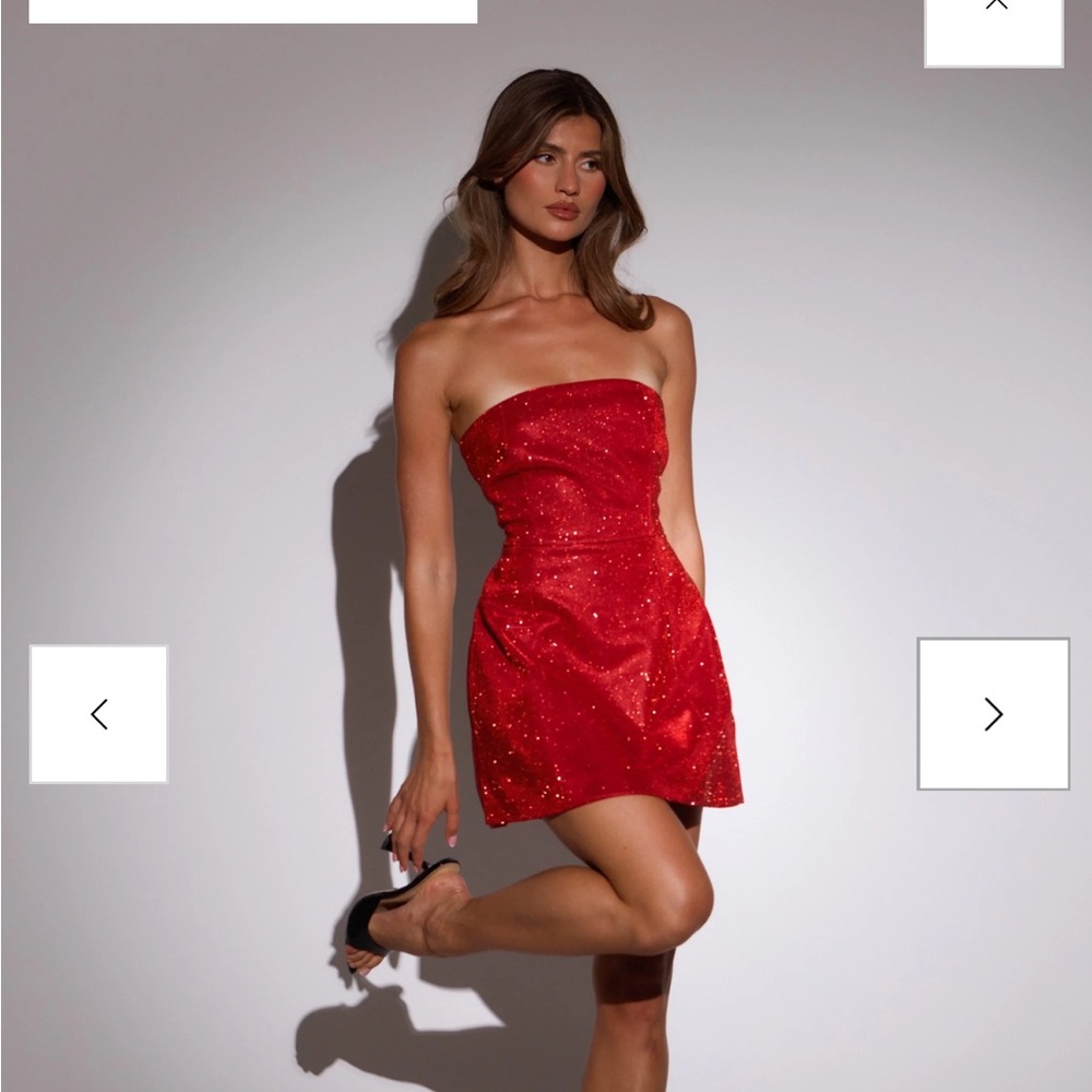 SLA The Label Camille dress